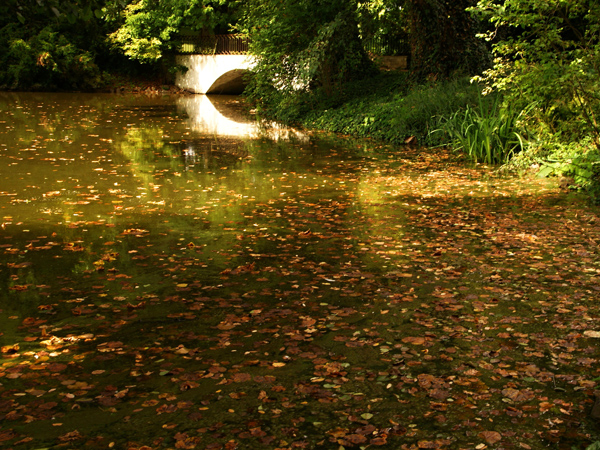 Organic silt and detritus can leave waters stagnant, requiring silt remediation.